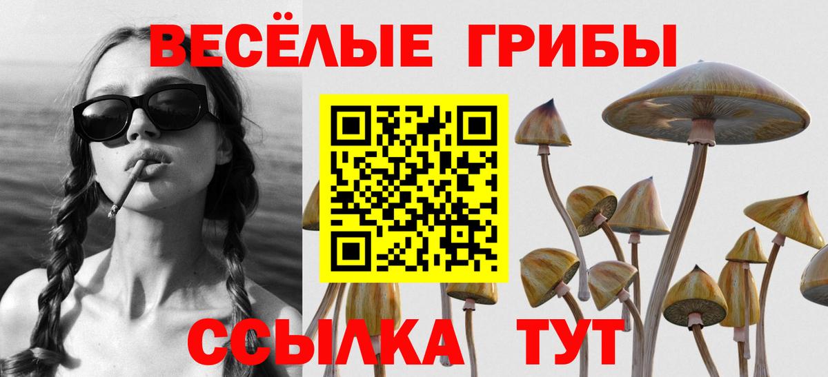 Псилоцибиновые грибы мицелий  Вход с VPN  Черкесск 